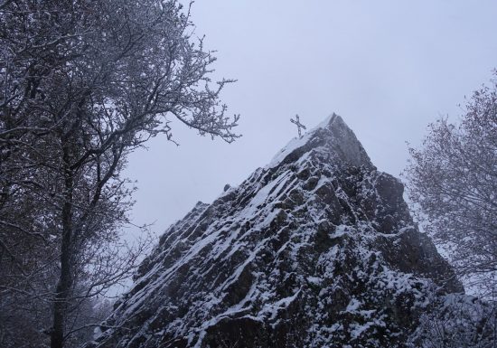 Domaine Les Pierres Meslières