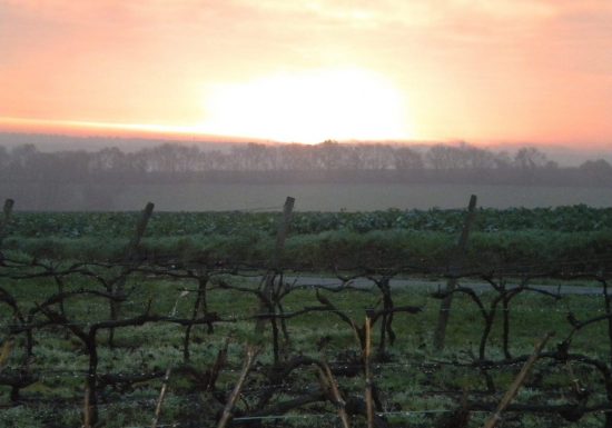 Aire de cmping-car Domaine de la Gironnière