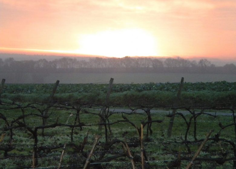 Aire de camping-car Domaine de la Gironnière