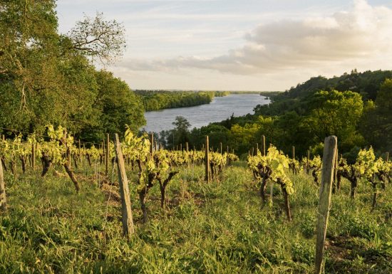 Domaine des Génaudières