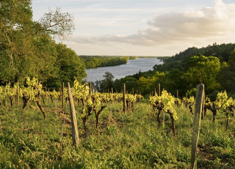 Domaine des Génaudières