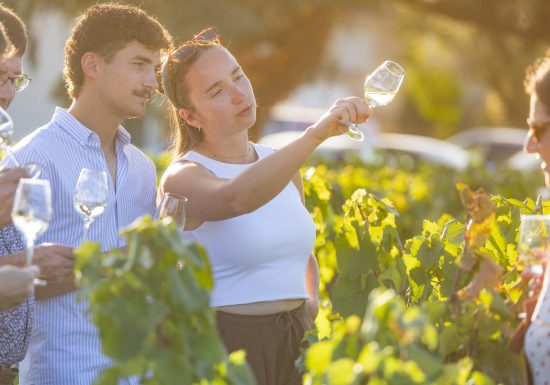 Domaine du Colombier