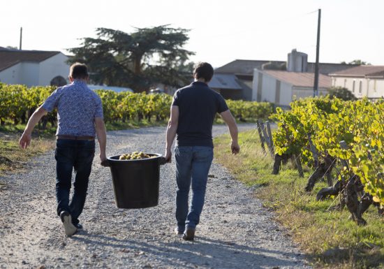 Domaine du Colombier