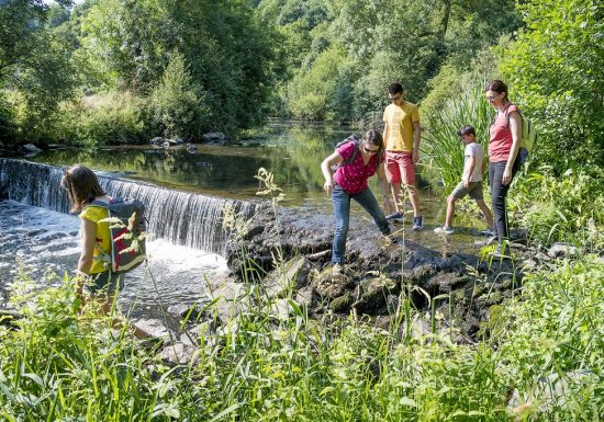 Gîte studio Courossé