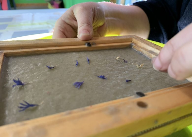 ATELIER FABRICATION DE PAPIER AU JARDIN CAMIFOLIA