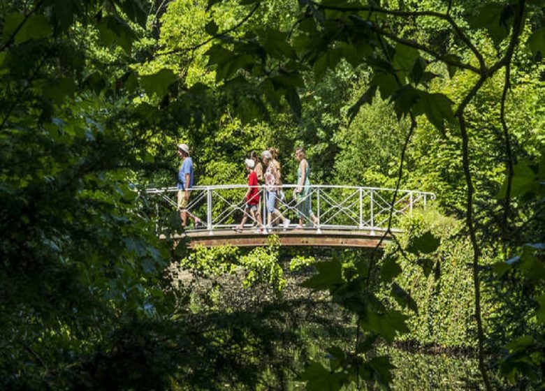 Bain de forêt et de sons au Parc du Martreil