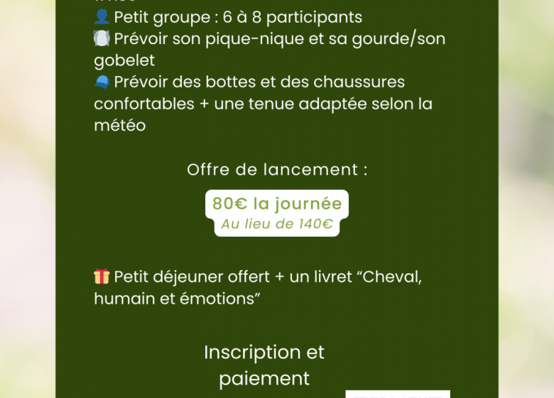 Journée “Connexion à soi accompagnée par le cheval”
