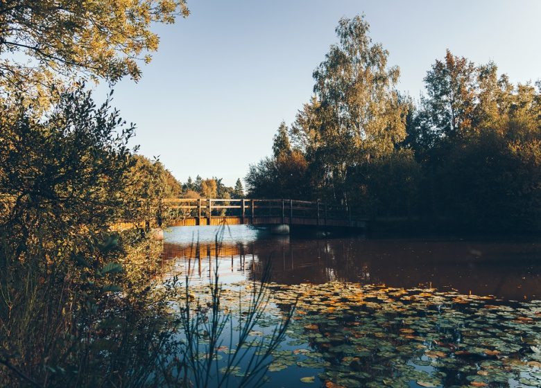 Forêt et étang de la Foucaudière