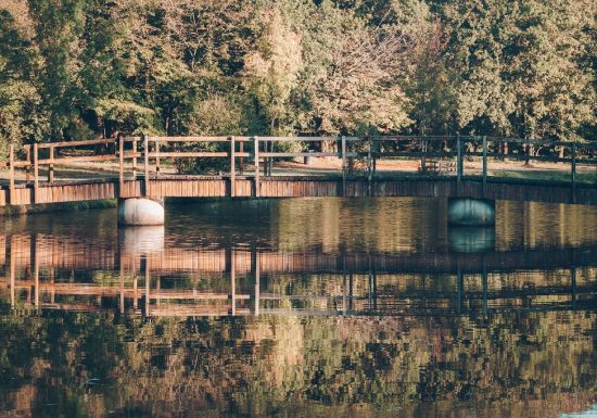 Forêt et étang de la Foucaudière