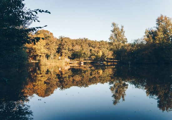 Forêt et étang de la Foucaudière