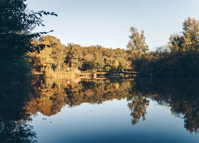 Forêt et étang de la Foucaudière
