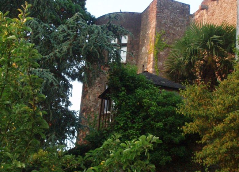 Gite Château de Montrevault