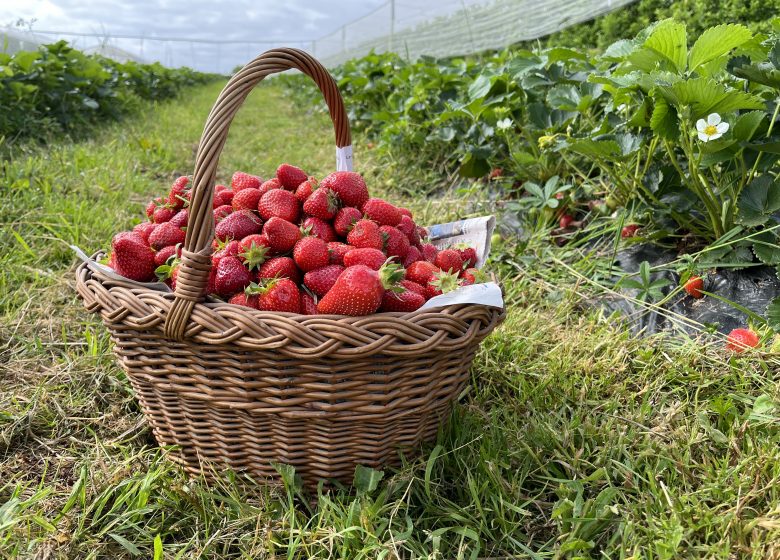 Vergers de La Grande Monnerie