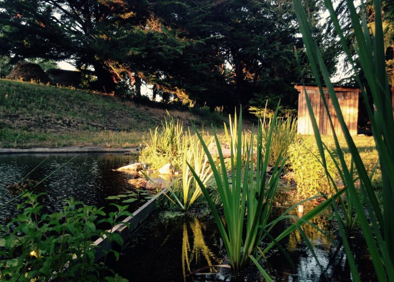 Aire d’accueil de campeurs des Hautes Herbes
