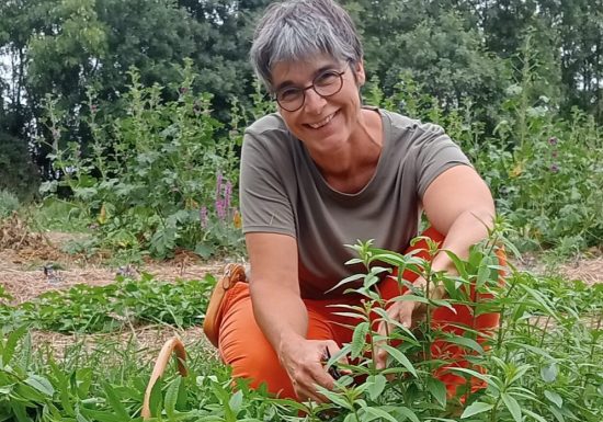 Les Herbes du Ruisseau