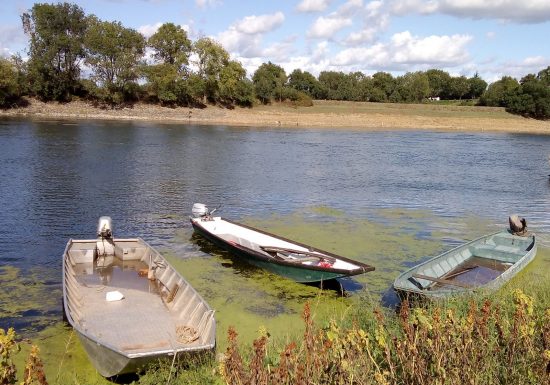 Visite guidée “La vie au bord du fleuve à Saint-Florent-le-Vieil”