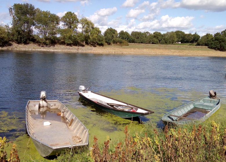 Visite guidée “La vie au bord du fleuve à Saint-Florent-le-Vieil”