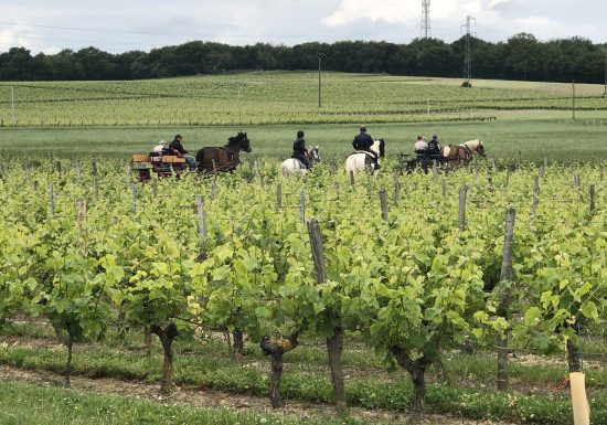 Route Européenne D’Artagnan