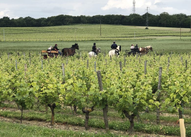 Route Européenne D’Artagnan