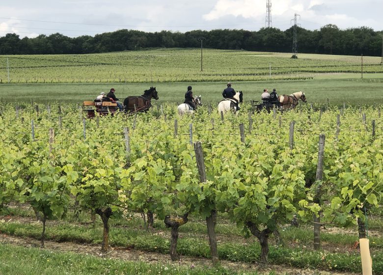 ROUTE EUROPÉENNE D’ARTAGNAN