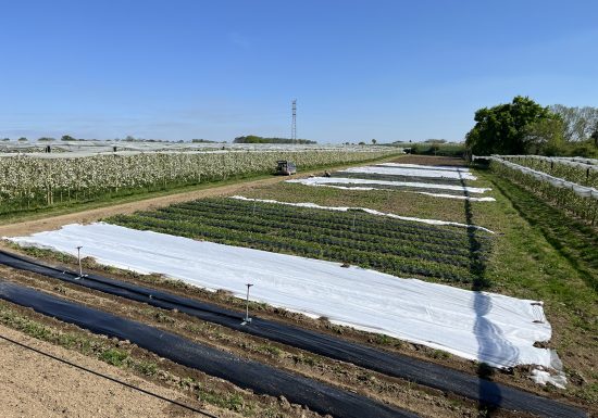 Vergers de La Grande Monnerie