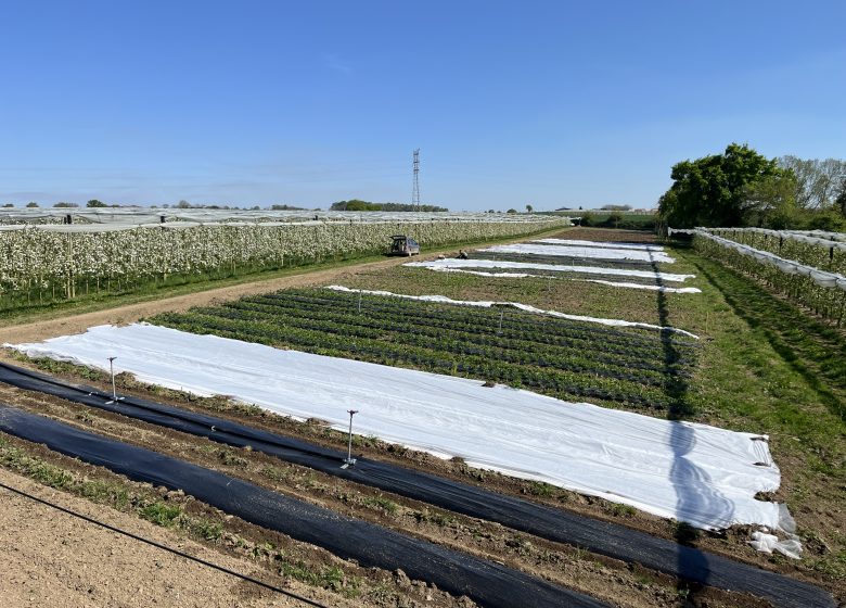 Vergers de La Grande Monnerie