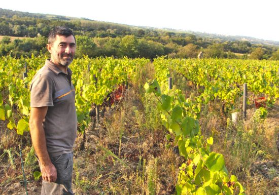 Domaine Les Pierres Meslières