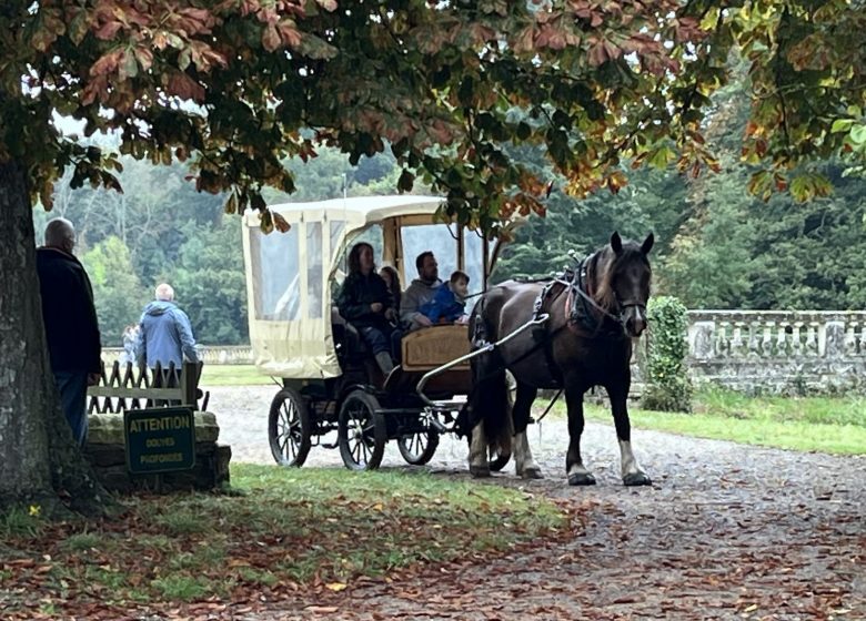 Balades à cheval, poney ou en calèche dans la vallée de la Loire et les côteaux avec l’assoication A quatre temps