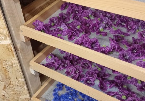 Les Herbes du Ruisseau