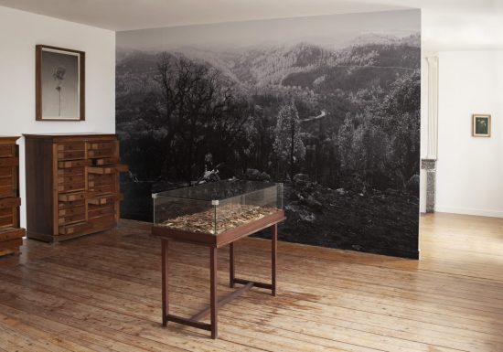 Le MAT – Centre d’art contemporain du Pays d’Ancenis
