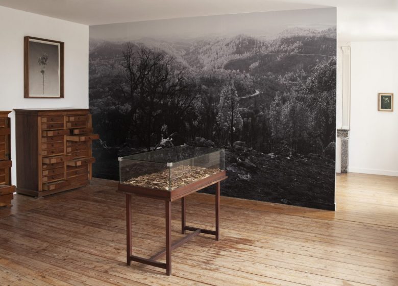 Le MAT – Centre d’art contemporain du Pays d’Ancenis