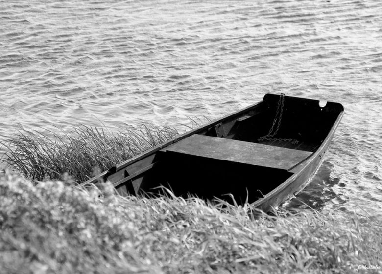Balade photographique “Spécial noir et blanc” “Flânerie à Ingrandes/Le Fresne”
