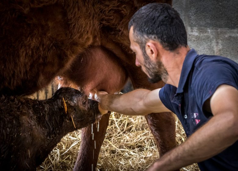 Produits de la ferme l’Etable des Mauges