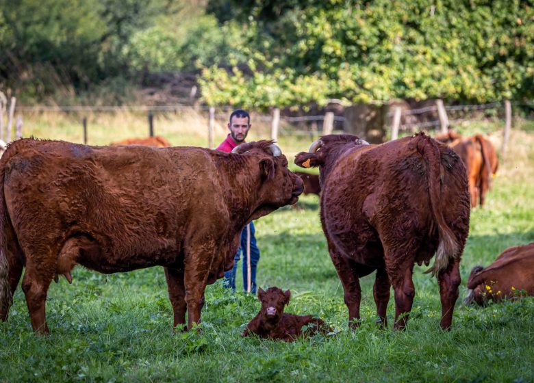 Lodges l’Étable des Mauges