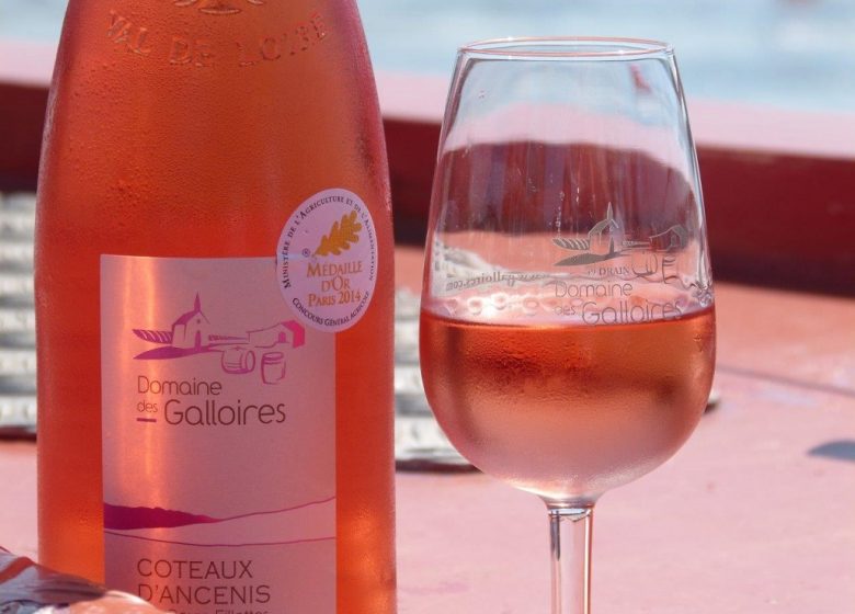 Croisière à destination du marché d’Ancenis à bord de la Luce