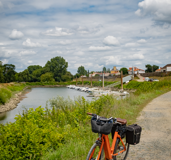 La Loire à Vélo, de Champtoceaux à Mauves-sur-Loire