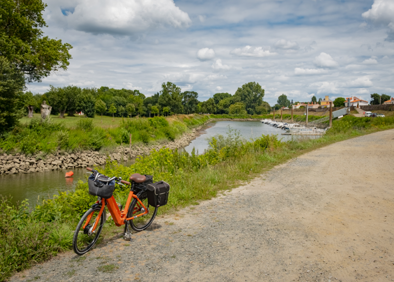 La Loire à Vélo, de Champtoceaux à Mauves-sur-Loire