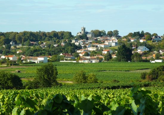 Panorama de la tour de l’église de La Varenne