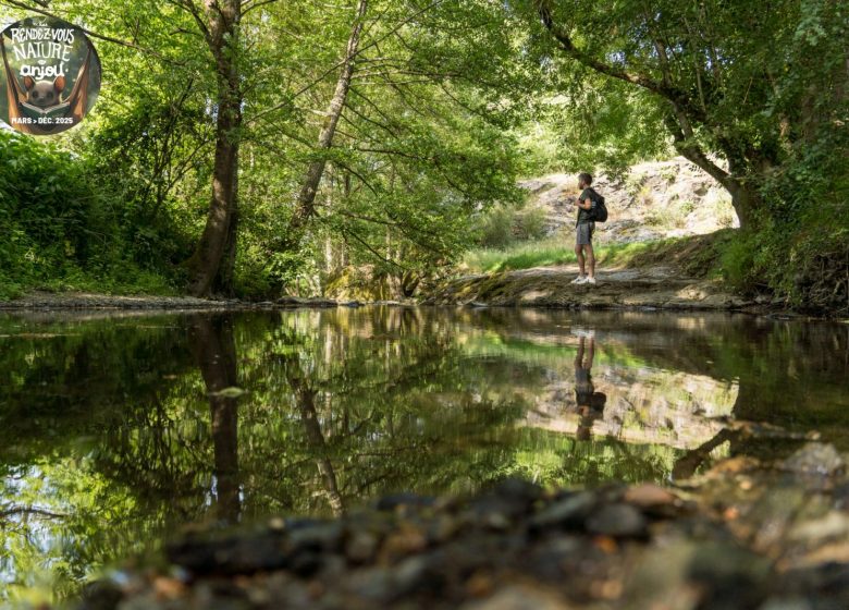 Rendez-vous Nature en Anjou : Les Mystères de l’Hyrôme