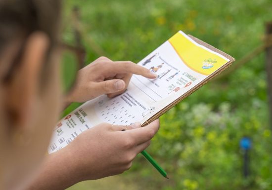 Animation Les aventuriers en herbe à Cap Loire