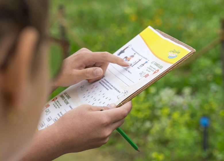Animation Les aventuriers en herbe à Cap Loire