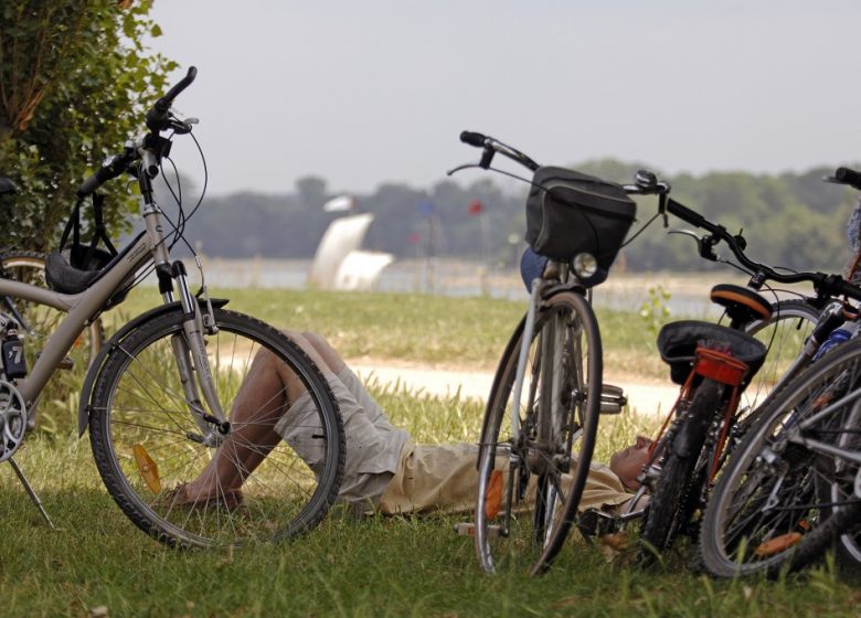 Location de vélos Anjouveloc