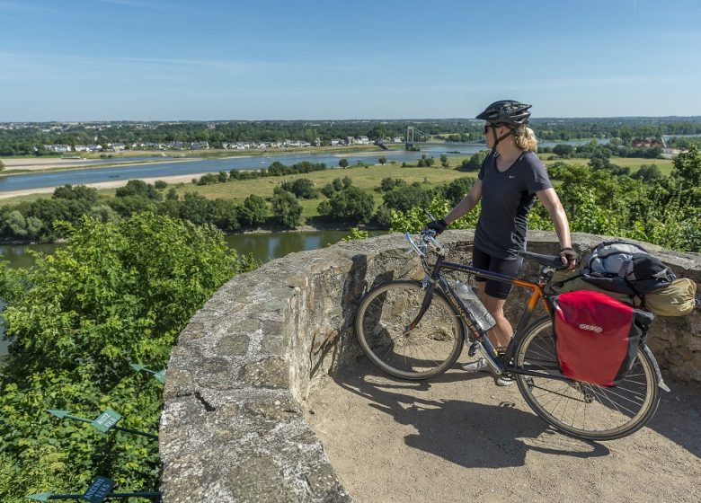La Loire à Vélo, de Chalonnes-sur-Loire à Saint-Florent-le-Vieil