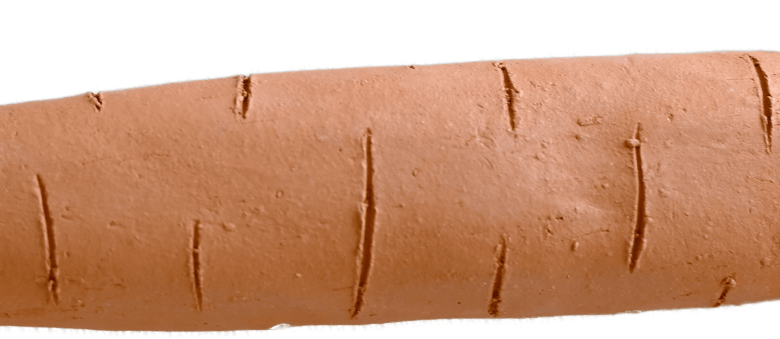 POTERIE | Atelier +8 ans “La maracas carotte”