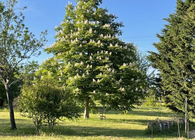 Chambre d’hôtes Un brin nature