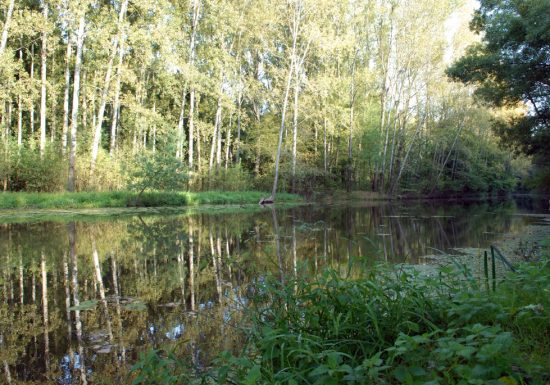 Vallée du Hâvre