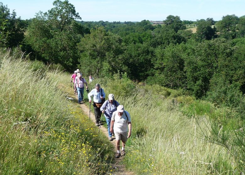 Excursion commentée : retour à l’époque des fours à chaux de Montjean-sur-Loire