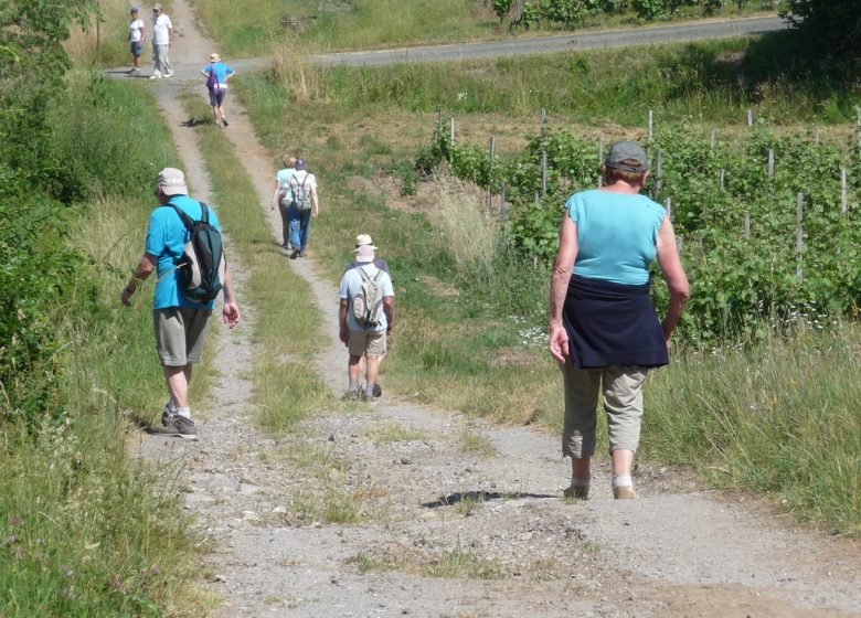 Excursion commentée : retour à l’époque des fours à chaux de Montjean-sur-Loire
