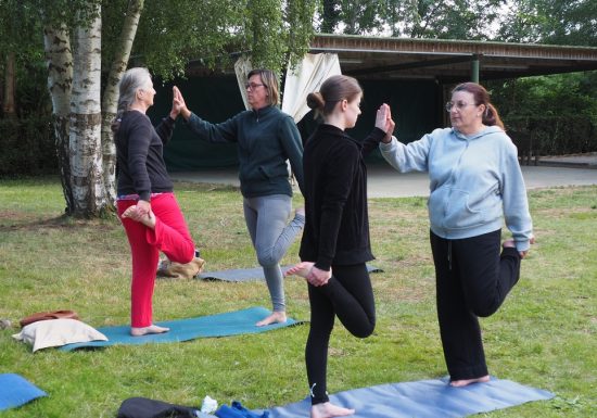 Éveil des sens, du safran au yoga