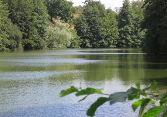 Randonné “La coulée verte”